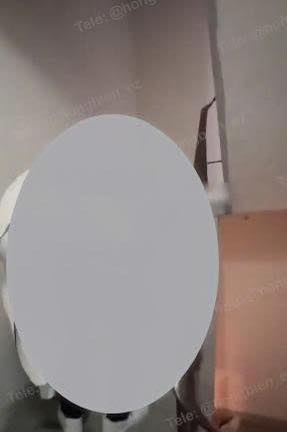 Không có mô tả ảnh.