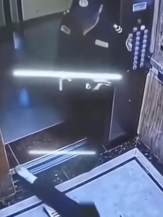 Không có mô tả ảnh.