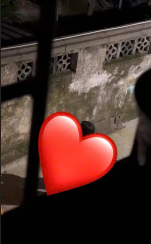 May be an image of heart