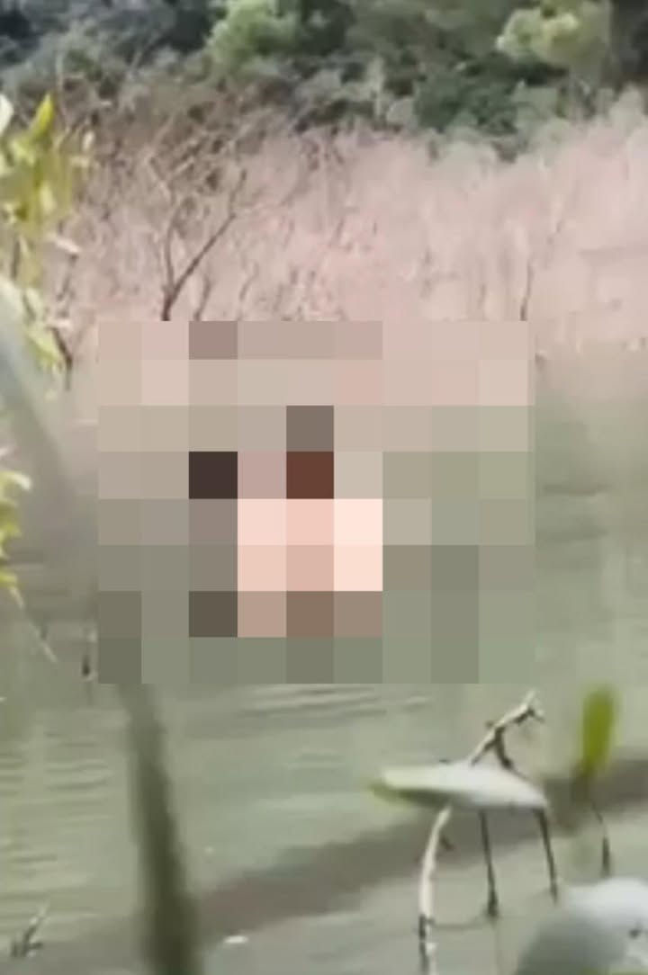 Có thể là hình ảnh về con cù lần