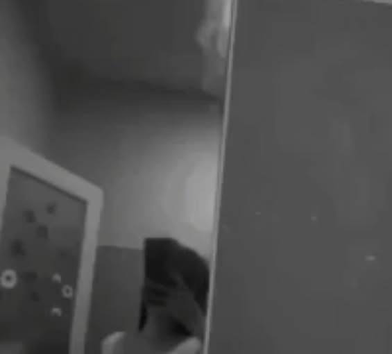 May be a black-and-white image