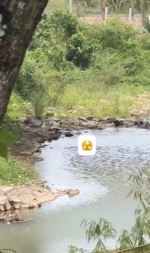 May be an image of body of water