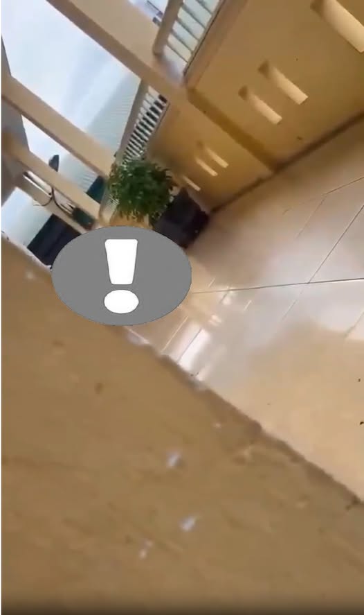 No photo description available.