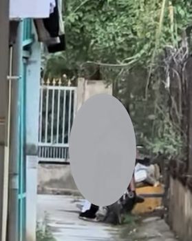 May be an image of slow loris and street