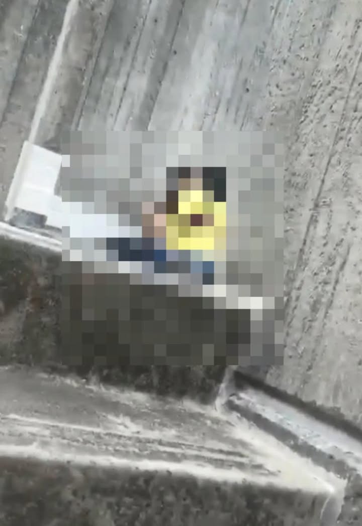 No photo description available.