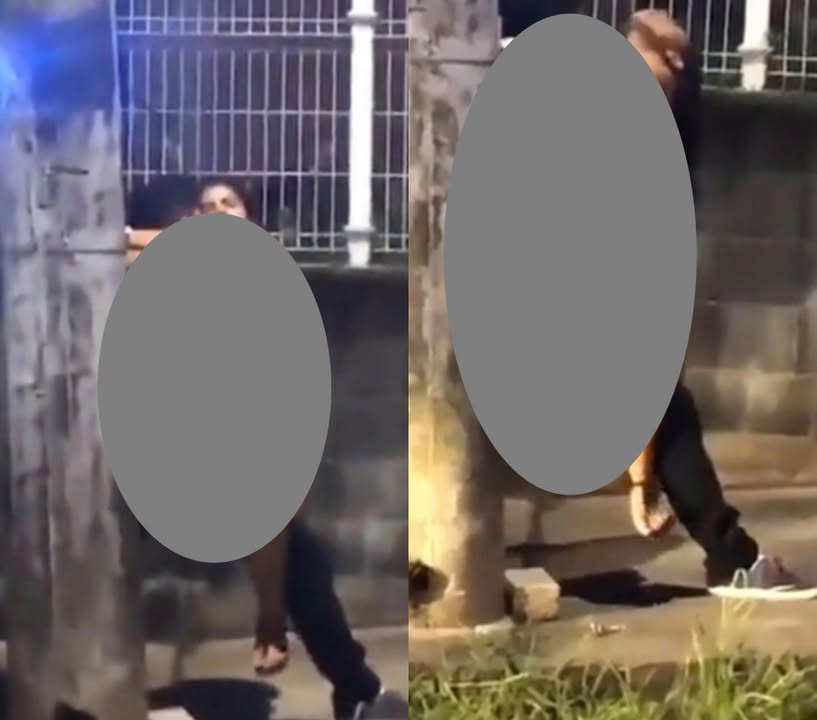 No photo description available.