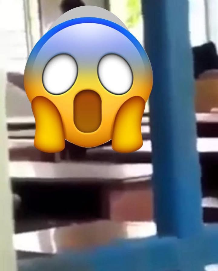 No photo description available.