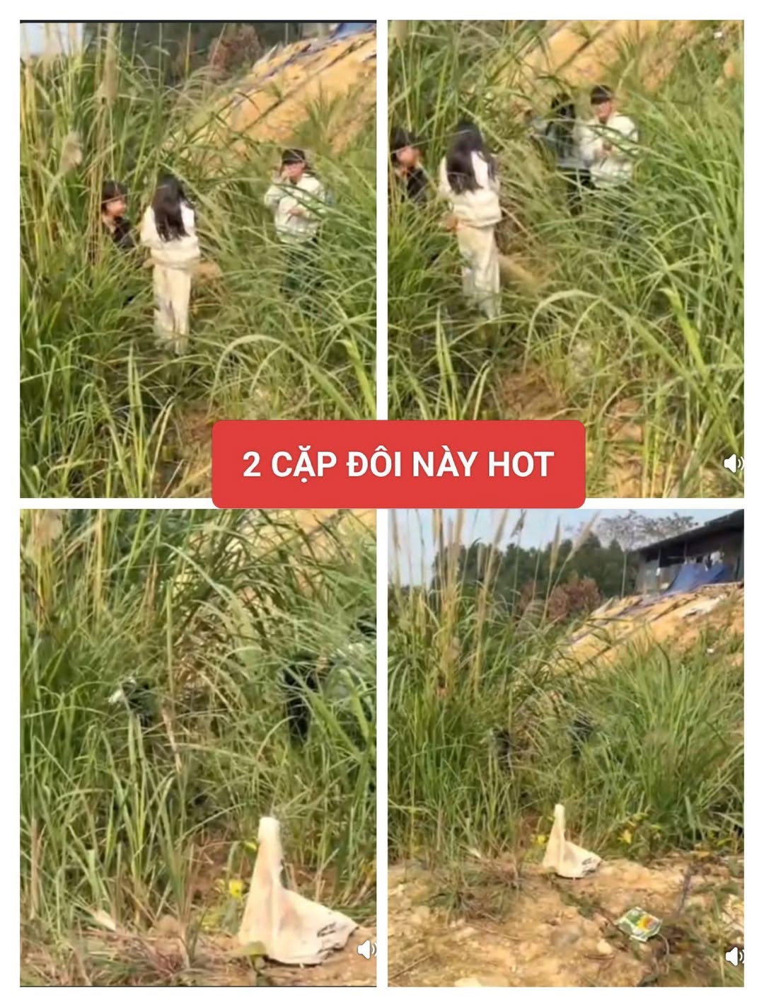 Có thể là hình ảnh về cỏ và văn bản cho biết '2CẶPĐÔINAYHOT 2 CẶP ĐÔI NÀY HoT'