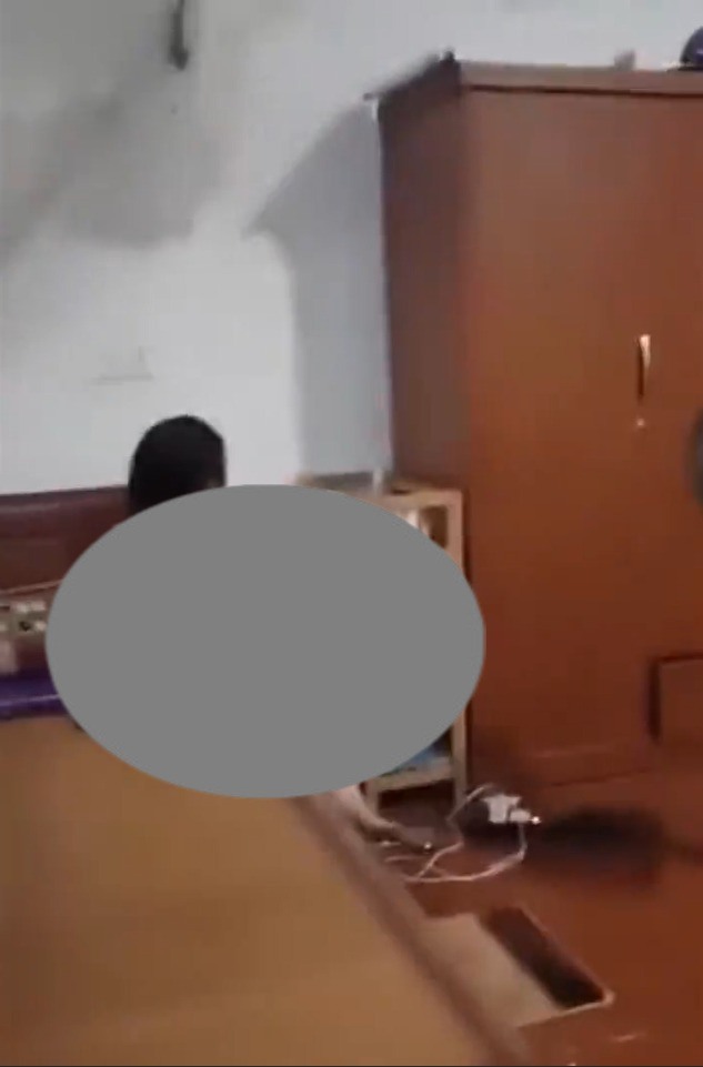 Có thể là hình ảnh về con cù lần