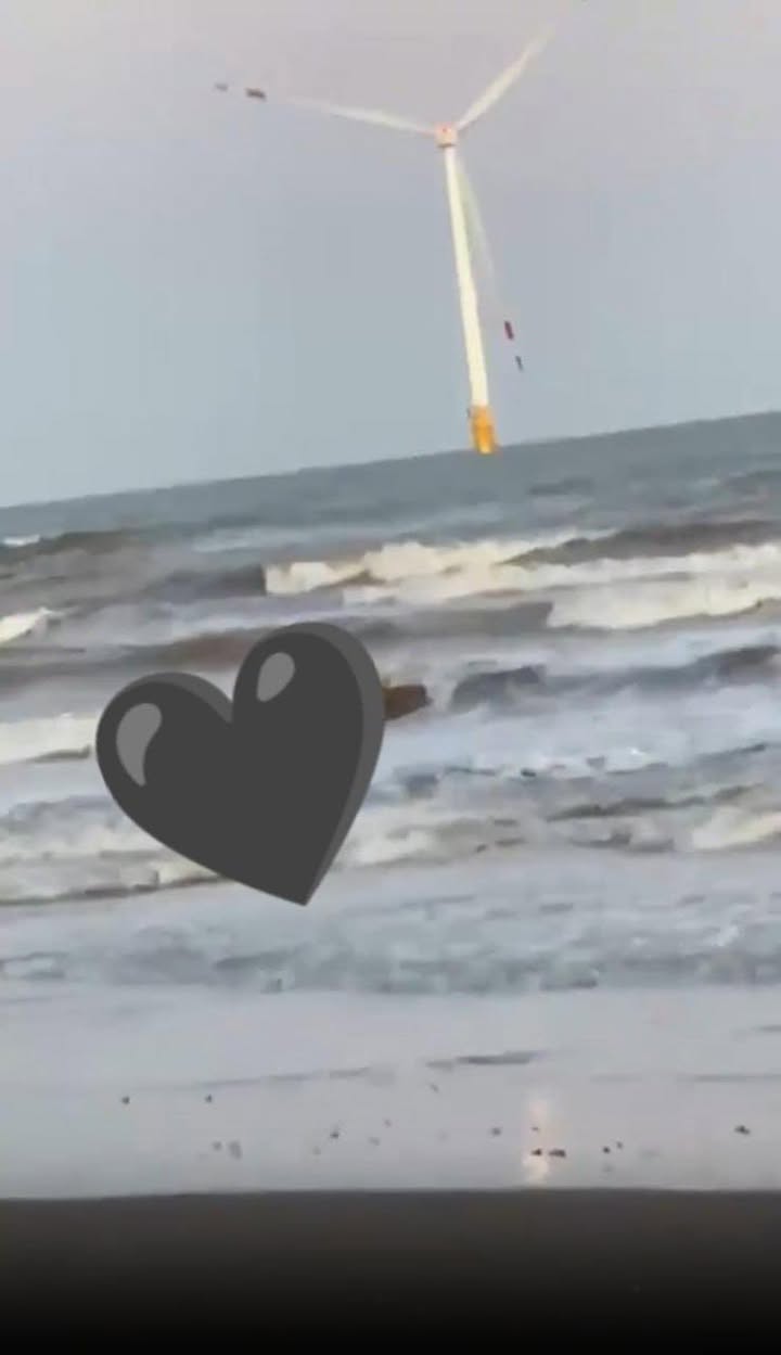 Có thể là hình ảnh về bãi biển, cối xay gió, đại dương và đường chân trời