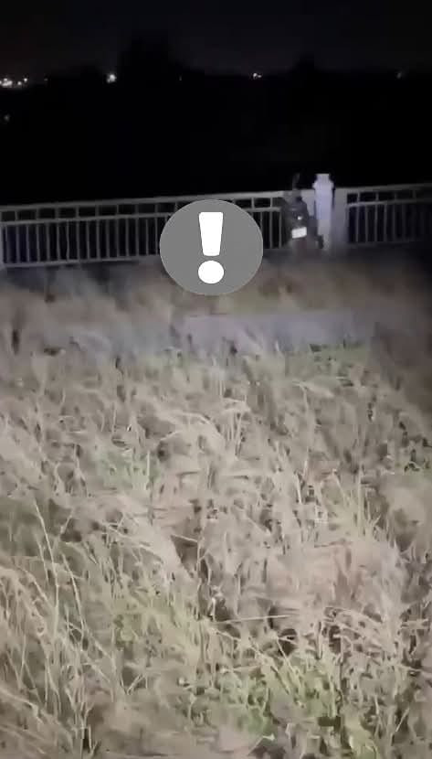 Có thể là hình ảnh về văn bản