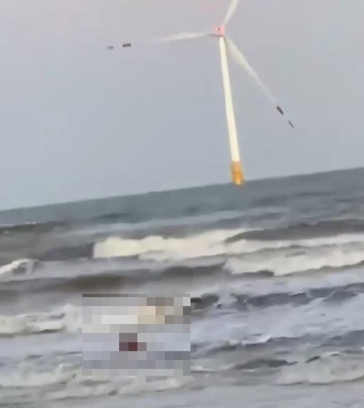 Có thể là hình ảnh về lốc xoáy và cối xay gió