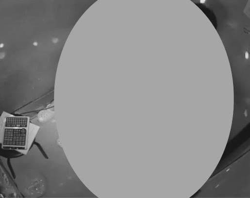 Có thể là hình ảnh đen trắng về nhật thực