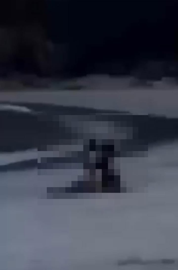 May be an image of skateboard