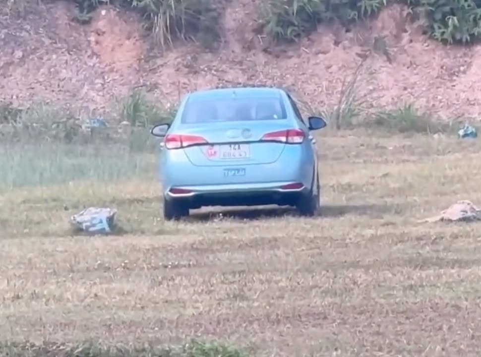 May be an image of car and grass