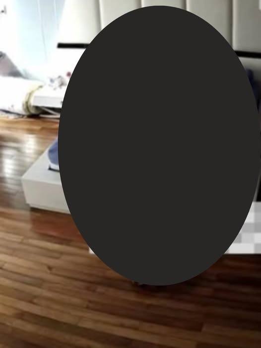 May be an image of speaker