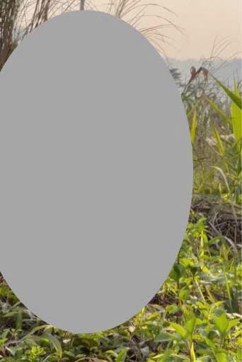 No photo description available.