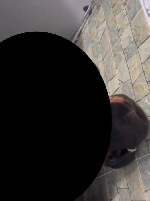 No photo description available.