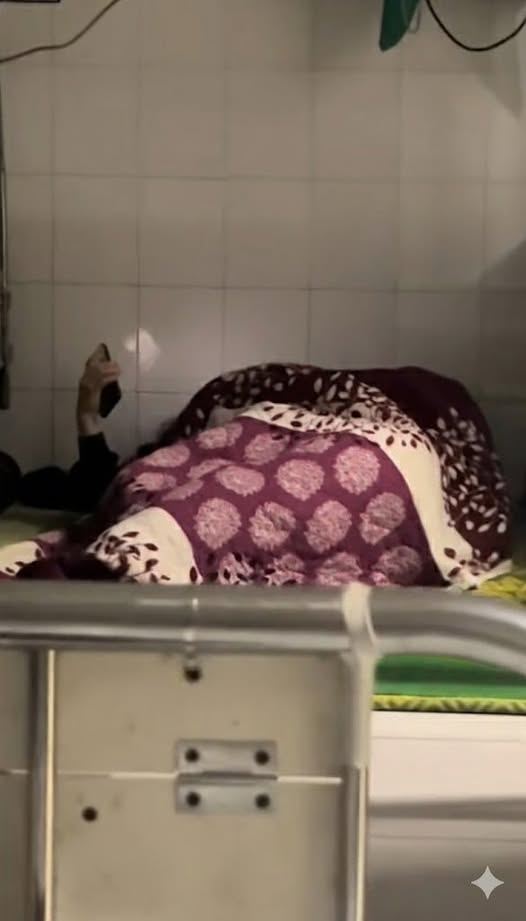 May be an image of slow loris and hospital