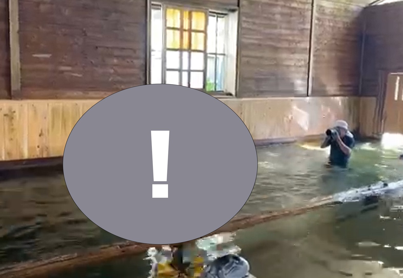 May be an image of swimming, body of water and text