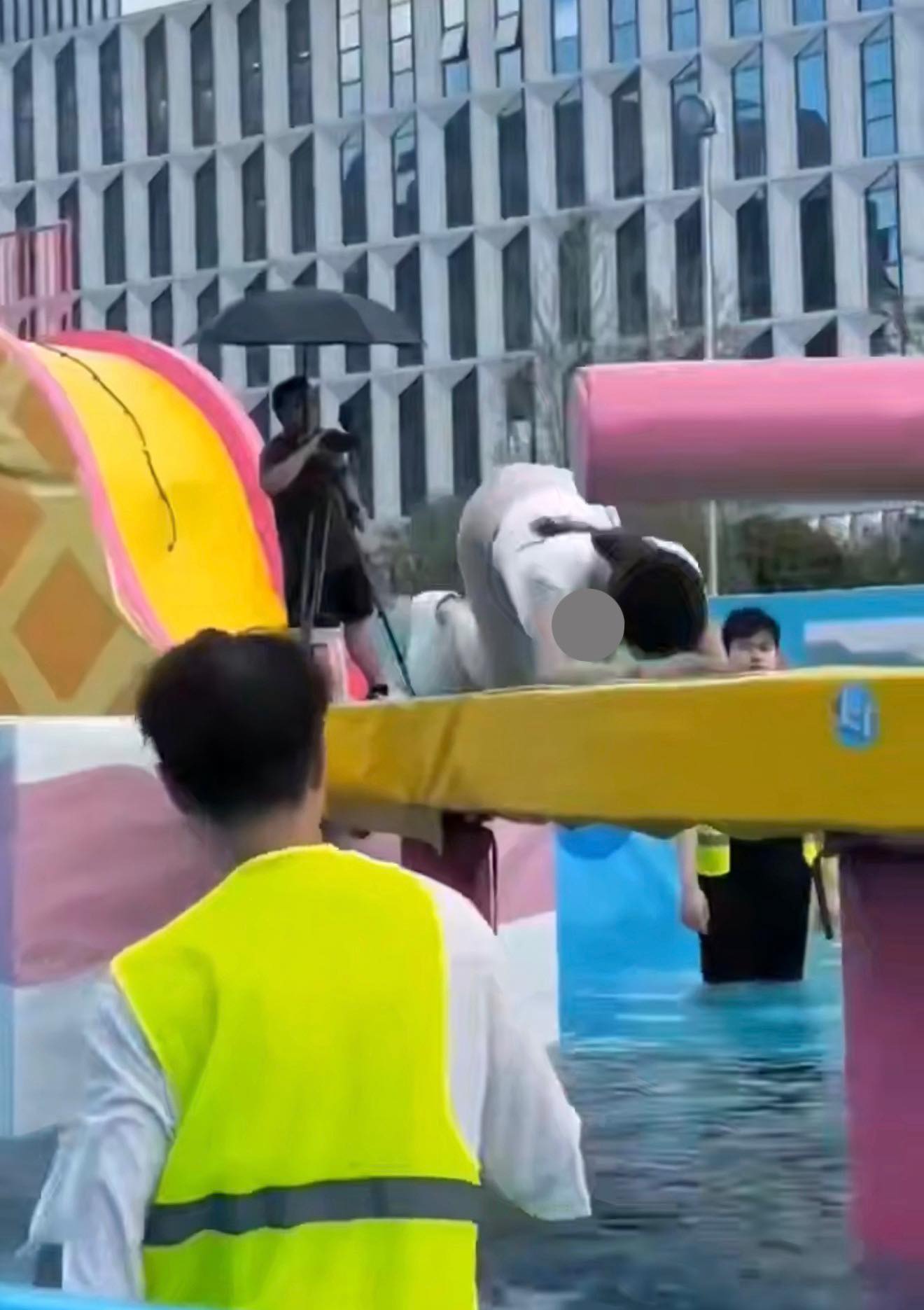 May be an image of swimming, walrus and pool