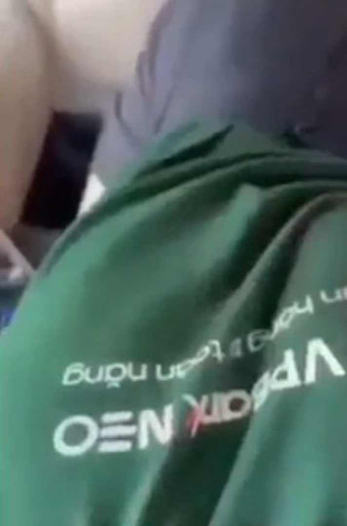 May be an image of slow loris