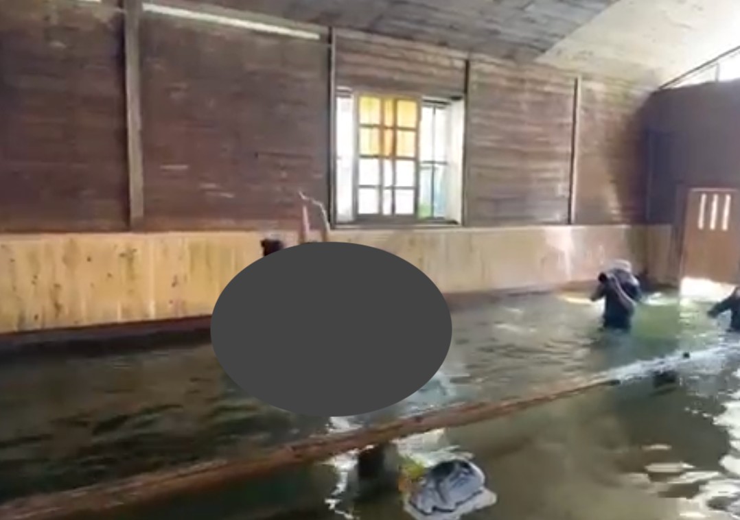 May be an image of swimming and body of water