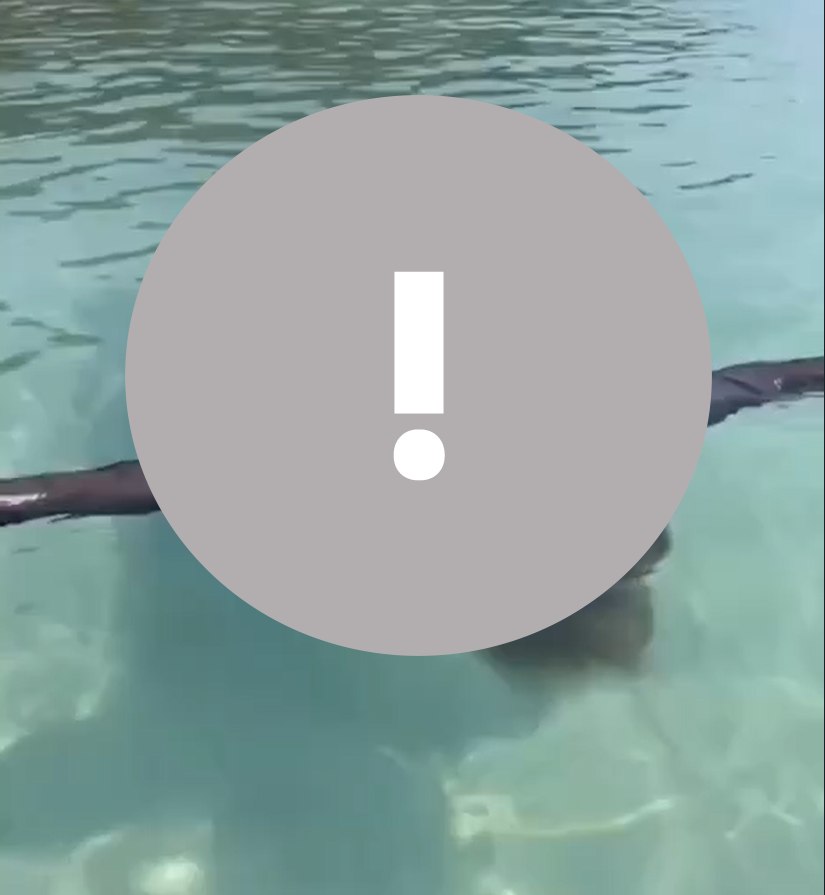 May be an image of swimming, turtle, body of water and text