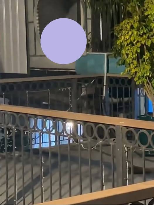 No photo description available.