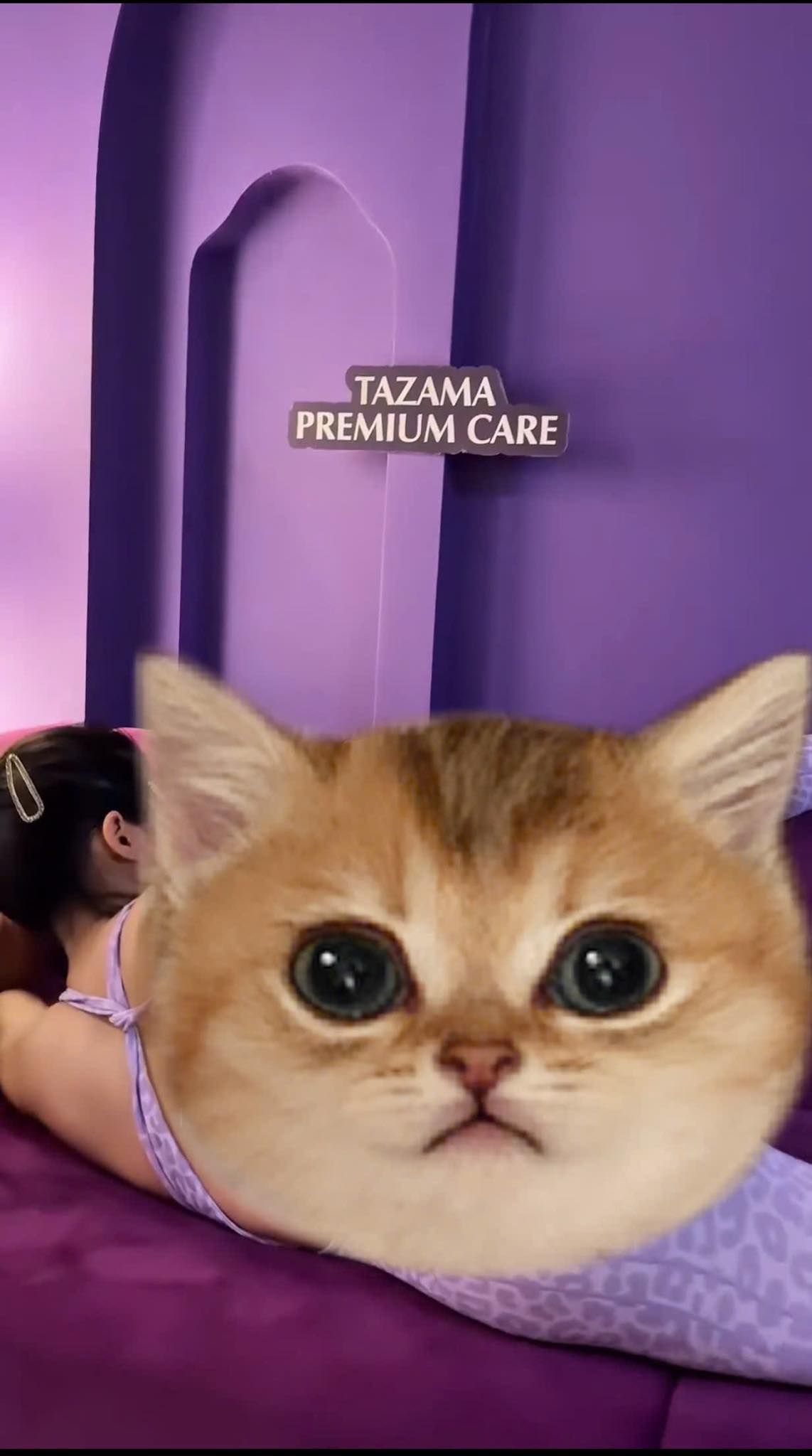 May be an image of ragdoll cat and text that says 'TAZAMA PREMIUMCARE PREMIUM CARE'