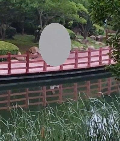 No photo description available.