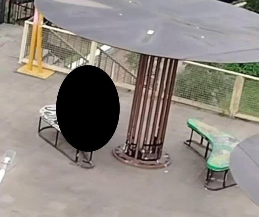 No photo description available.