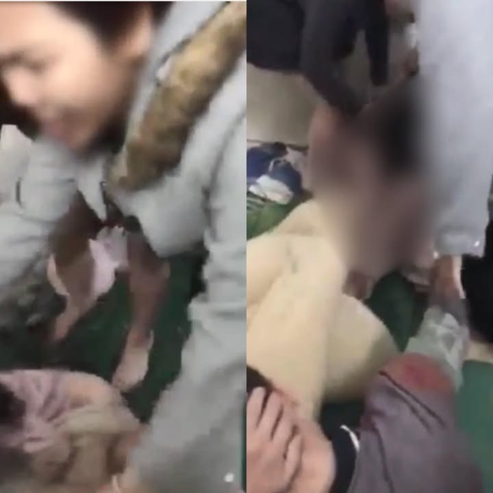 May be an image of slow loris