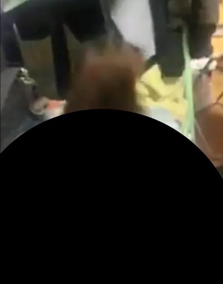 No photo description available.