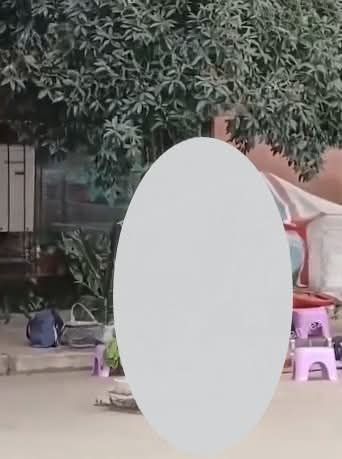 No photo description available.