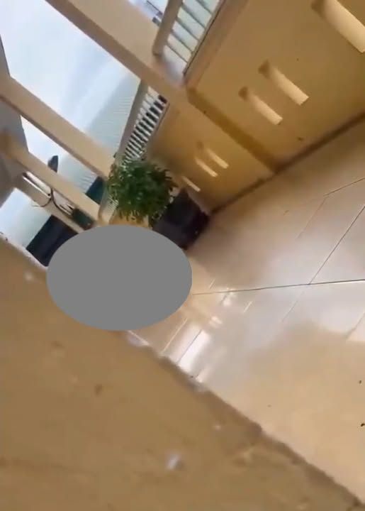 No photo description available.