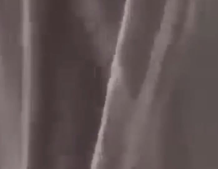 May be an image of slow loris