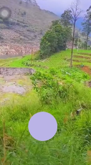 May be an image of grass, Saqsaywaman and mountain