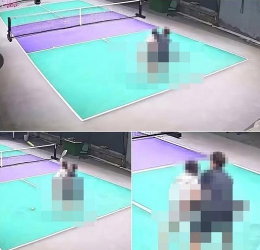 May be an image of tennis