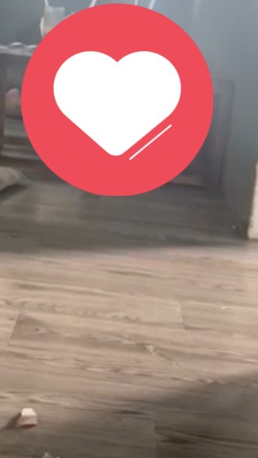 May be an image of heart